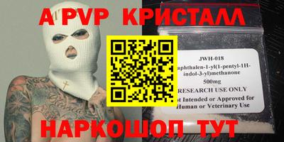 шишки Кингисепп