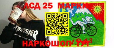 шишки Кингисепп
