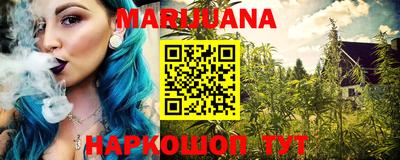 шишки Кингисепп