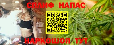 шишки Кингисепп