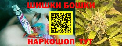 шишки Кингисепп