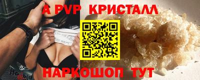 шишки Кингисепп